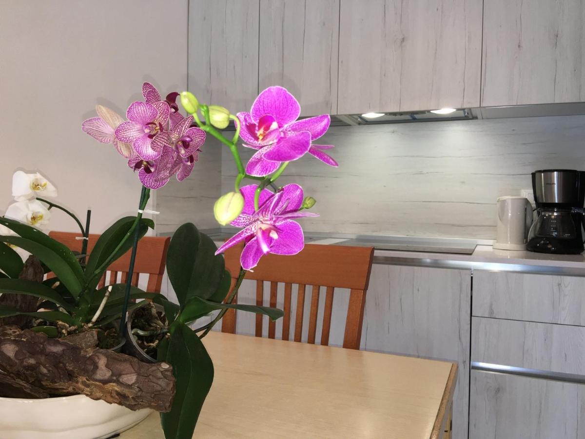 Casa Eva Appartement Bibione Buitenkant foto